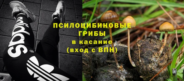 молекула духа Балабаново