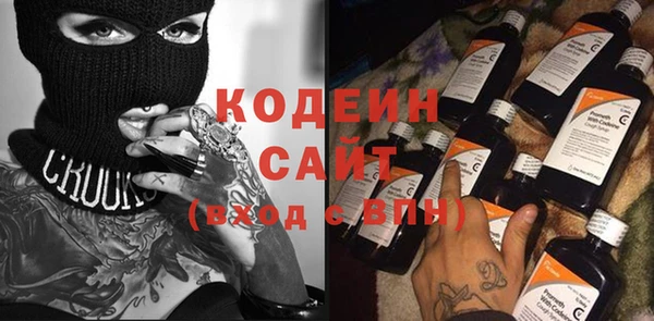индика Киренск