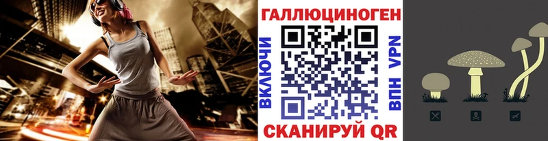 Псилоцибиновые грибы GOLDEN TEACHER  Ершов 
